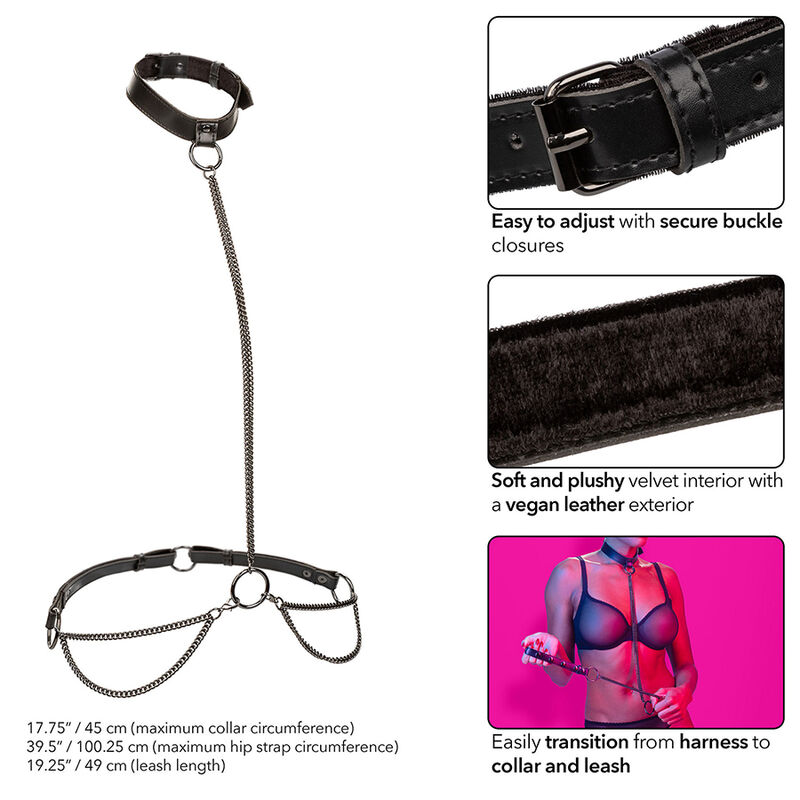 CALEXOTICS - EUPHORIA COLLAR HALTER Y CORREA CON CADENA - Imagen 3